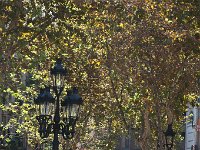 Barcelona 2011-09-25 Drukte in de oude stad : Barcelona, vakantie